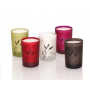 Fragrances en volupté Fragrances en volupté