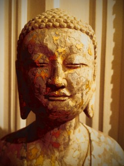 Bouddha méditation