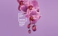 Pantone Radiant Orchid couleur 2014