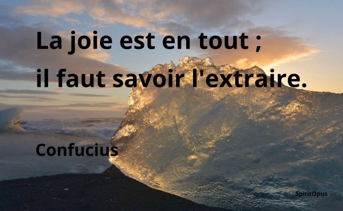 La joie est en tout ; il faut savoir l'extraire. Confucius