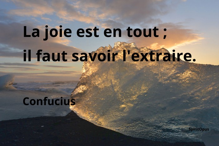 Joie Confucius Spiritopus