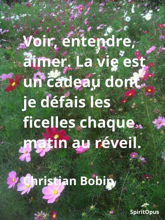 La vie est un cadeau Christian Bobin