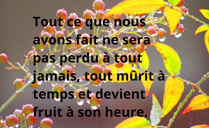 Tout mûrit à temps et devient fruit à son heure, avec la méditation.