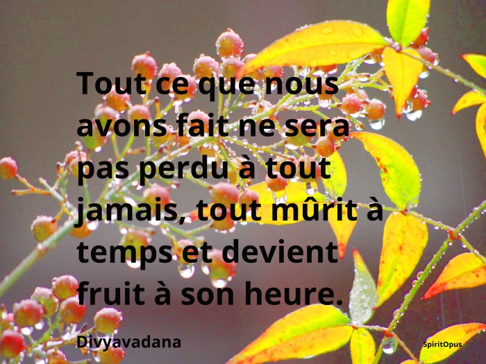 Tout mûrit à temps et devient fruit à son heure, avec la méditation.