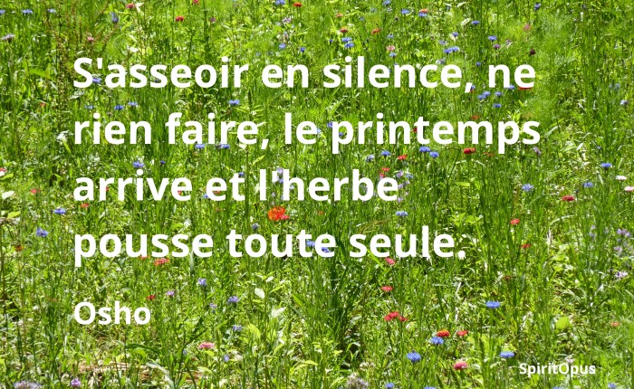 Méditer et s'asseoir en silence, ne rien faire