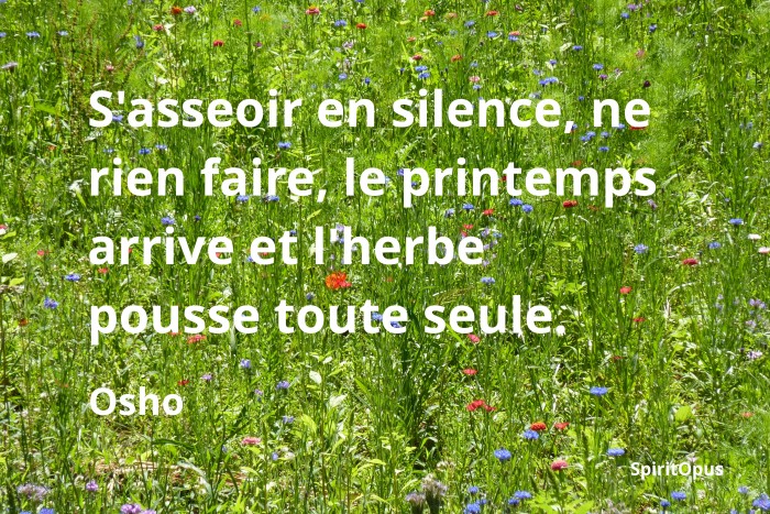 Méditer et s'asseoir en silence, ne rien faire