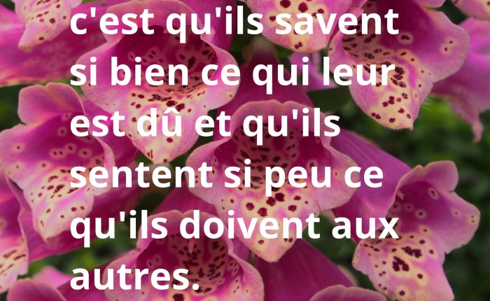 Le devoir, Saint Francois de Sales