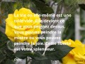 La vie en elle-même est une toile vide - Osho