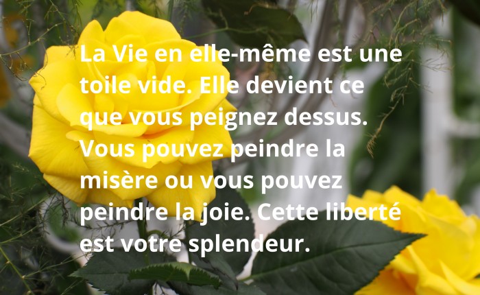 La vie en elle-même est une toile vide - Osho