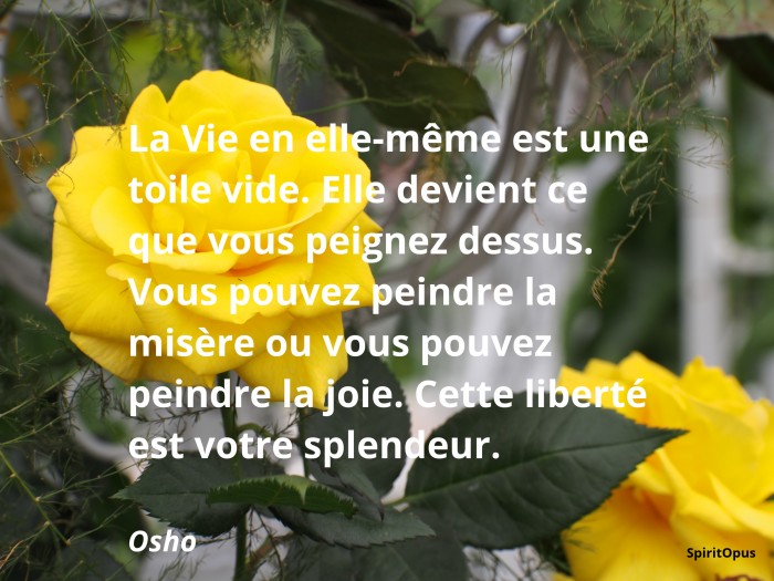 La vie en elle-même est une toile vide - Osho