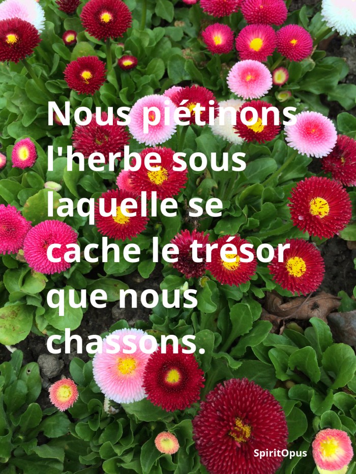 Le trésor que nous chassons est là, sous nos pieds.