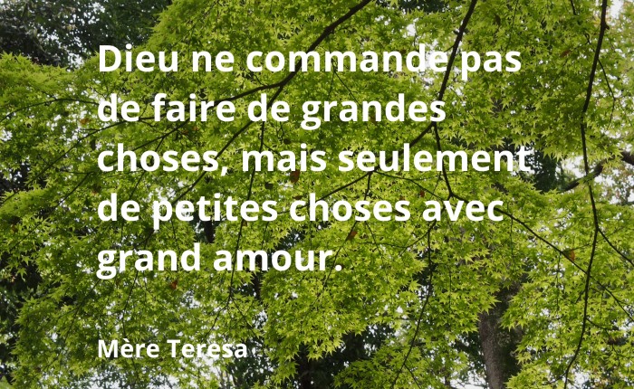 Mère Teresa - Faire de petites choses avec grand amour