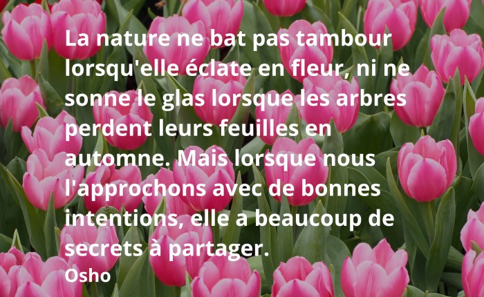 la nature ne bat pas tambour, Osho