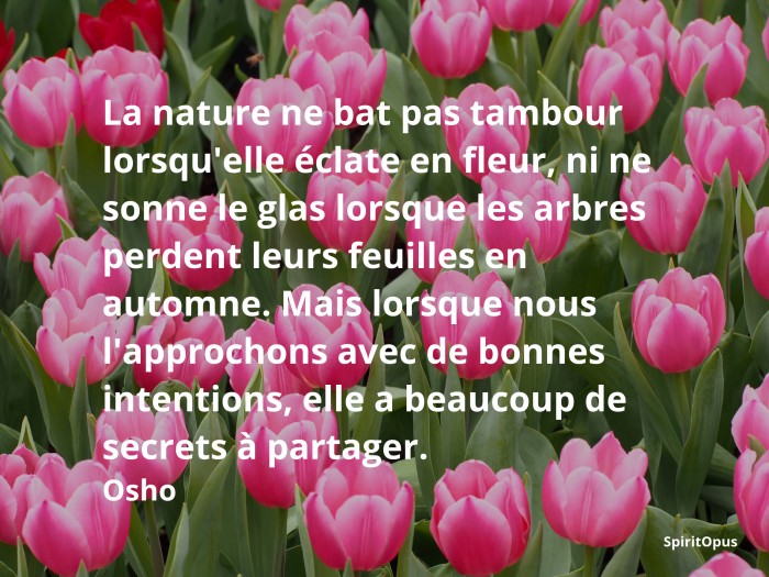 la nature ne bat pas tambour, Osho