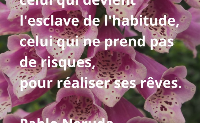 Prendre le risque de réaliser ses rêves, Pablo Neruda