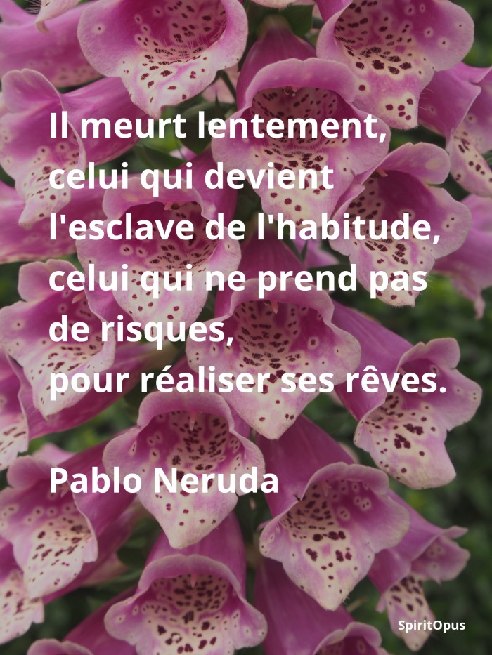 Prendre le risque de réaliser ses rêves, Pablo Neruda