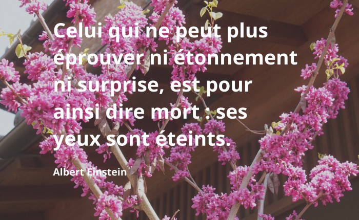 éprouver étonnement et surprise, Einstein