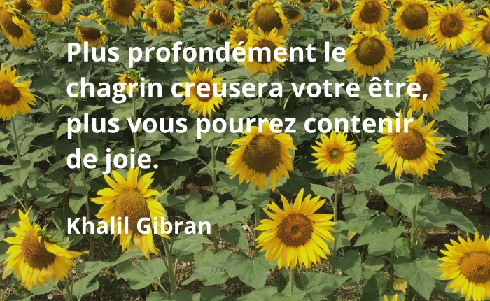 chagrin et joie, Khalil Gibran