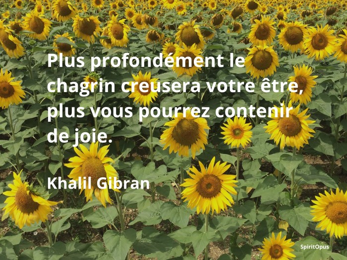 chagrin et joie, Khalil Gibran