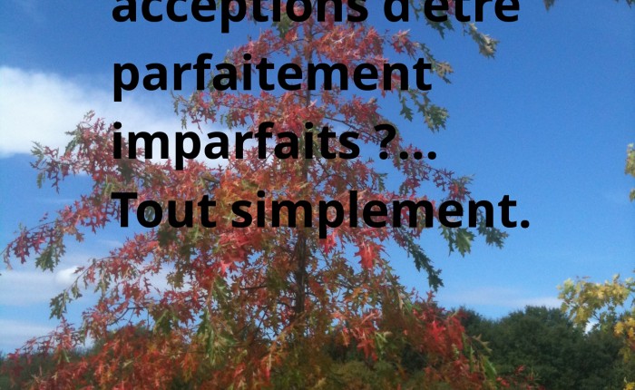 Etre parfaitement imparfaits