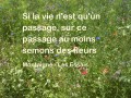 La vie n'est qu'un passage, Montaigne