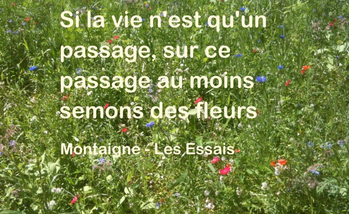 La vie n'est qu'un passage, Montaigne