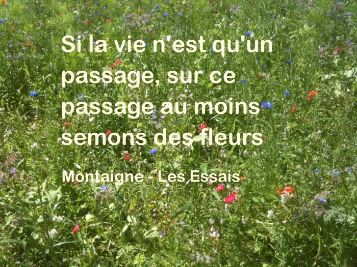 La vie n'est qu'un passage, Montaigne