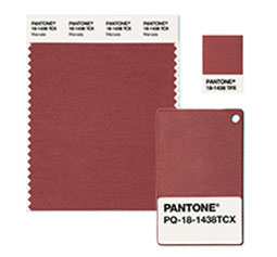Marsala couleur année 2015 Pantone